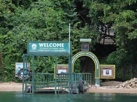 7-Day Gombe Western Tanzania Safari & Primate Expedition