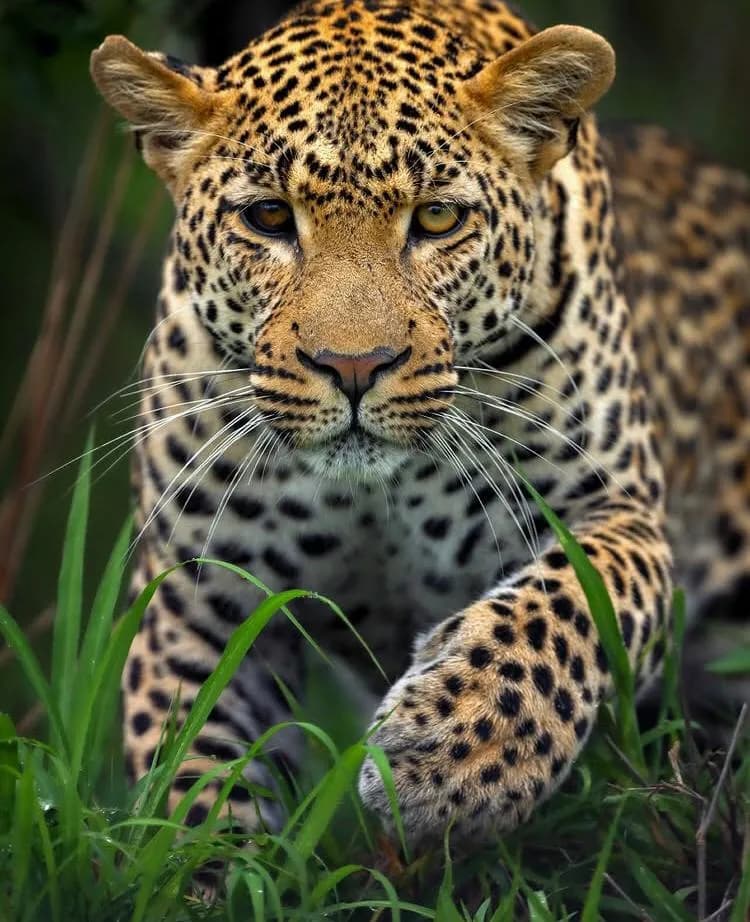 14-Day Kenya Grand Safari