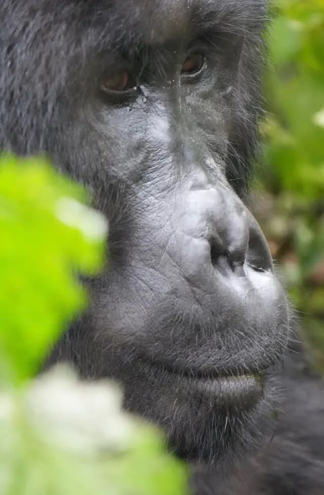 14-Day Samburu & Grand Kenya Safari