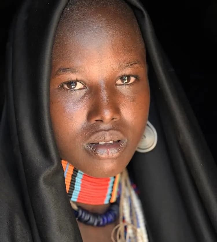 3-Day Ol Pejeta Conservancy Safari