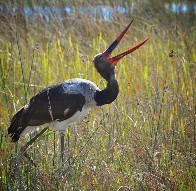 14-Day Hell's Gate & Grand Kenya Adventure