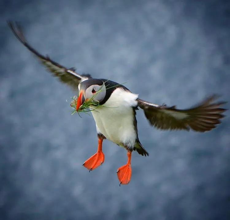 Kigali Rwanda Explorer