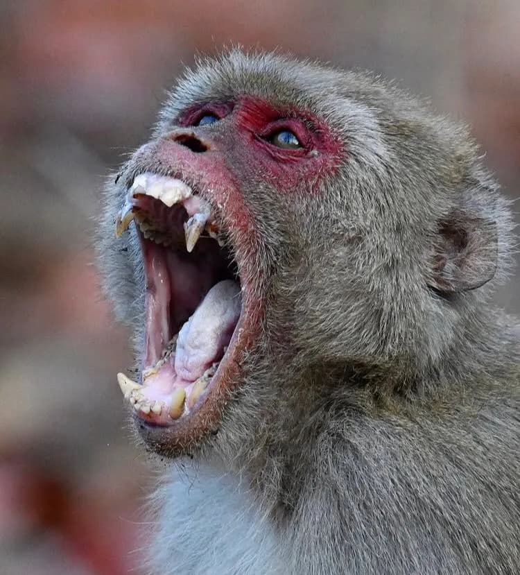 14-Day Nairobi & Grand Kenya Safari