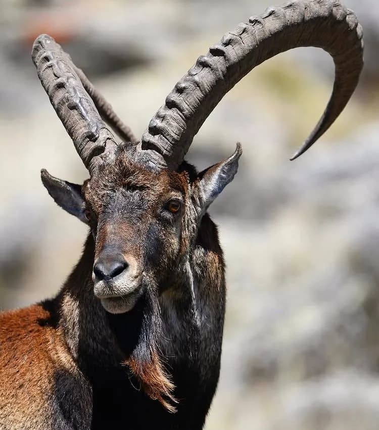 7-Day Hell's Gate & Rift Valley Explorer