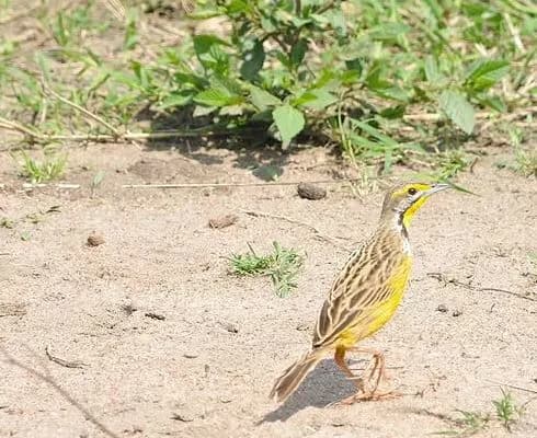 7-Day Lake Nakuru & Great Rift Valley Safari