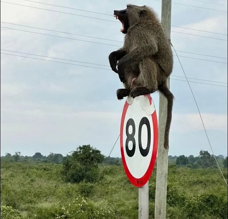 3-Day Nairobi City Experience