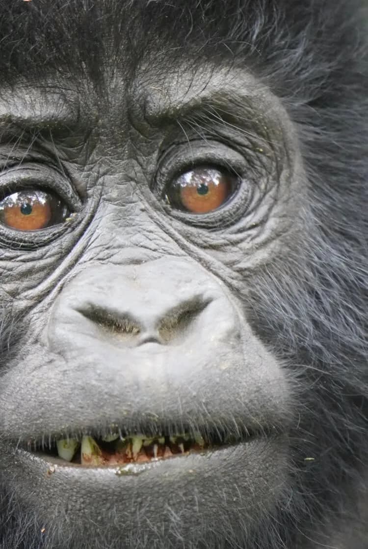 14-Day Masai Mara & Conservancies Deep Dive