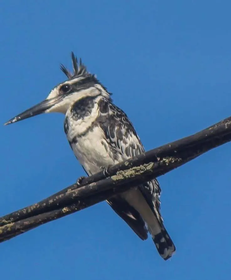 14-Day Extended Amboseli & Surrounds Safari