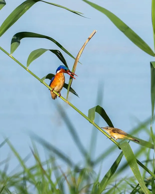 3-Day Tsavo West National Park Safari