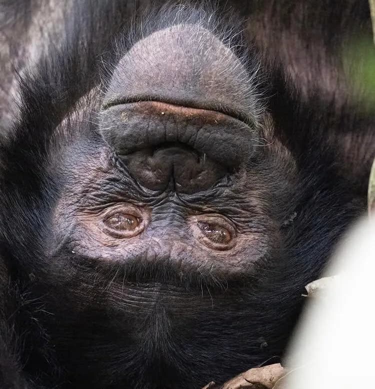 7-Day Nairobi & Rift Valley Adventure