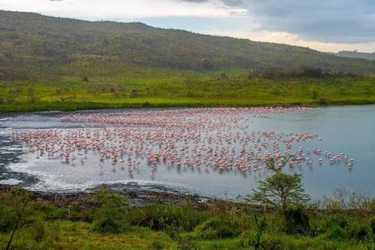 3-Day Katavi Wilderness Immersion