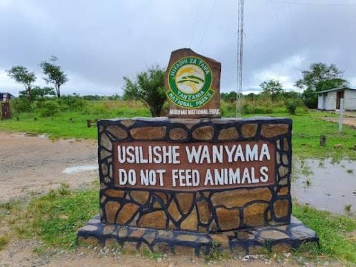 14-Day Mikumi & Udzungwa Mountains Safari Adventure