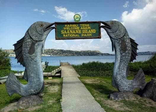 3-Day Saanane Island Escape