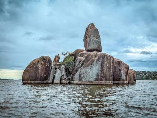 7-Day Saanane & Northern Circuit Safari