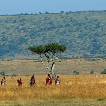7-Day Serengeti National Park Safari