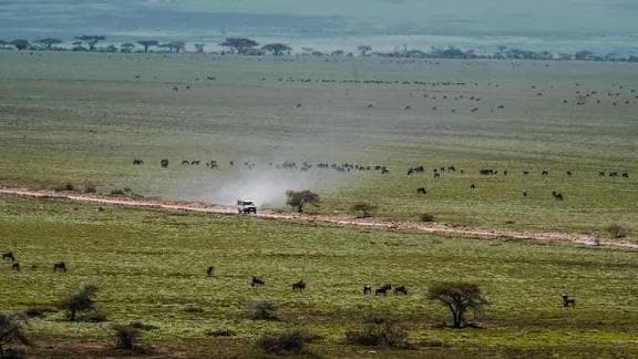 14-Day Ultimate Serengeti & Northern Circuit Safari