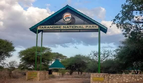 3-Day Tarangire National Park Safari