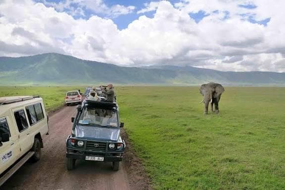 24-Day Ultimate Tanzania Immersion