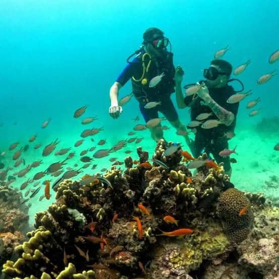 7-Day Zanzibar Explorer