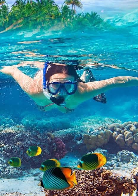 14-Day Zanzibar Island & Marine Life Discovery