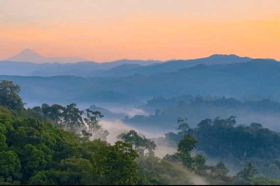 7-Day Gishwati-Mukura, Lake Kivu & Volcanoes