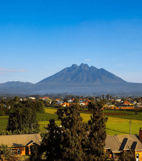 7-Day Nyanza, Huye & Nyungwe Cultural & Nature