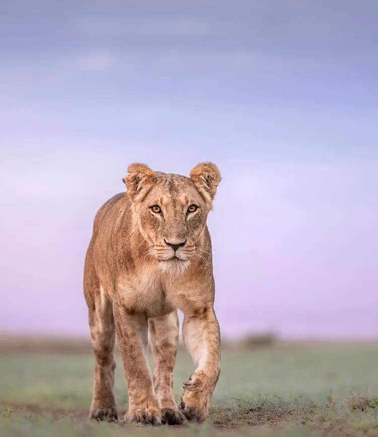 14-Day Akagera National Park & Rwandese Safari Itinerary