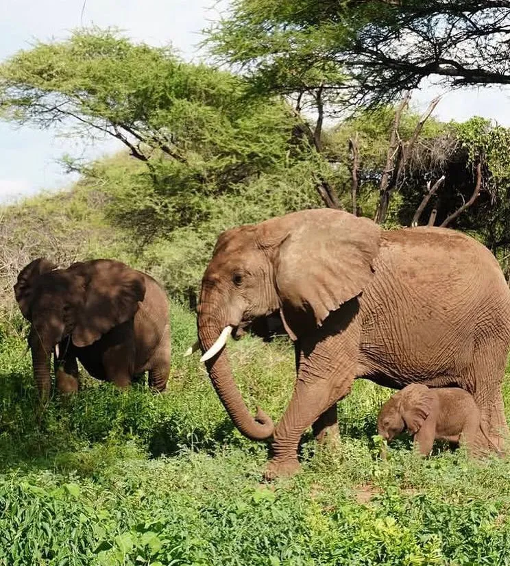 TANZANIA