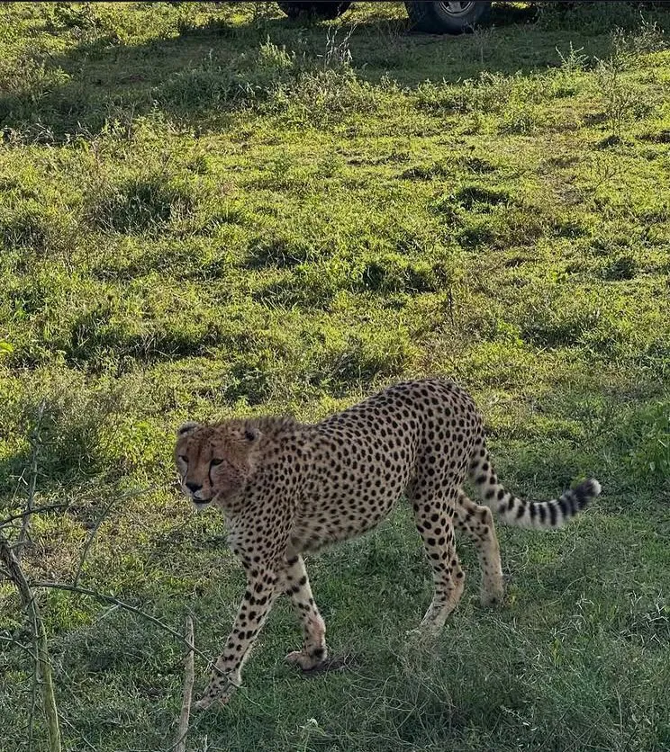 KENYA